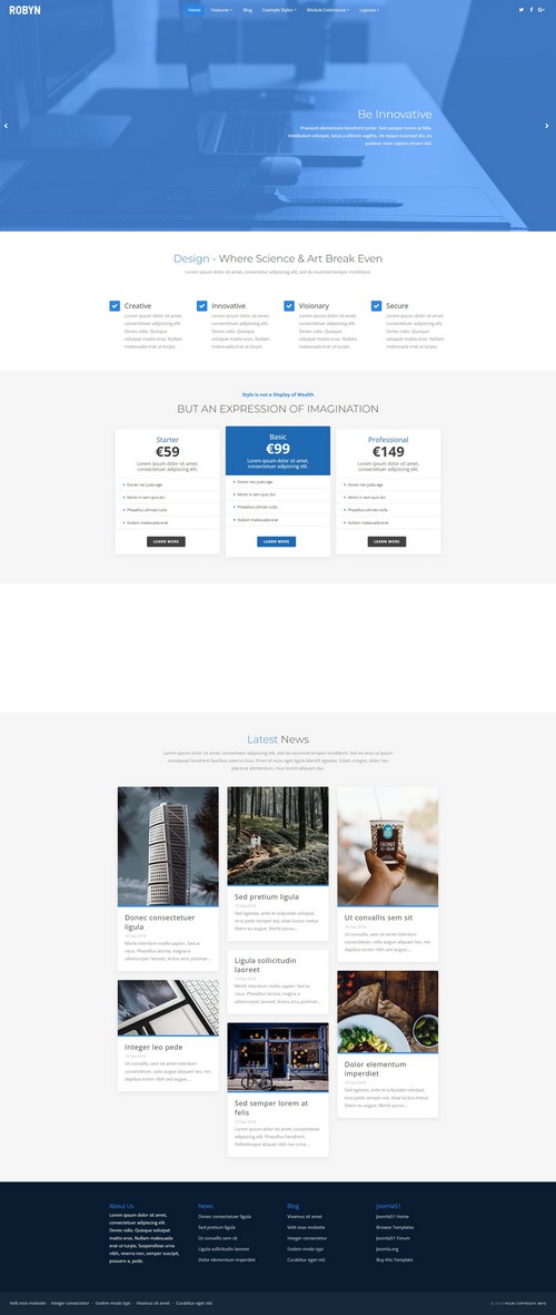 Robyn - Bright and Clean Joomla Template for Companies