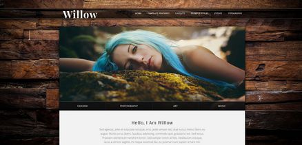 Willow - Carefully Crafted Professional Joomla Template