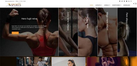 Mx-joomla220 - Sport Pilates Fitness Joomla Template
