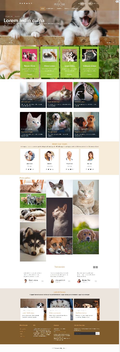 Ol Pets - Joomla 4 Template for Dog or Cat Training Classes