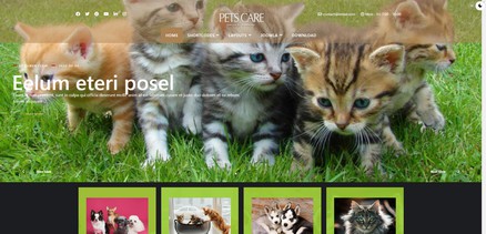 Ol Pets - Joomla 4 Template for Dog or Cat Training Classes