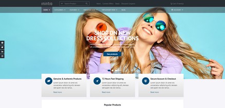 RnIntro - Joomla 4 Template for creating eCommerce Websites