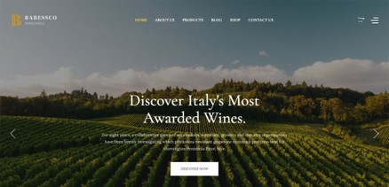 Baressco - Wine, Vineyard & Winery Joomla 4 Template